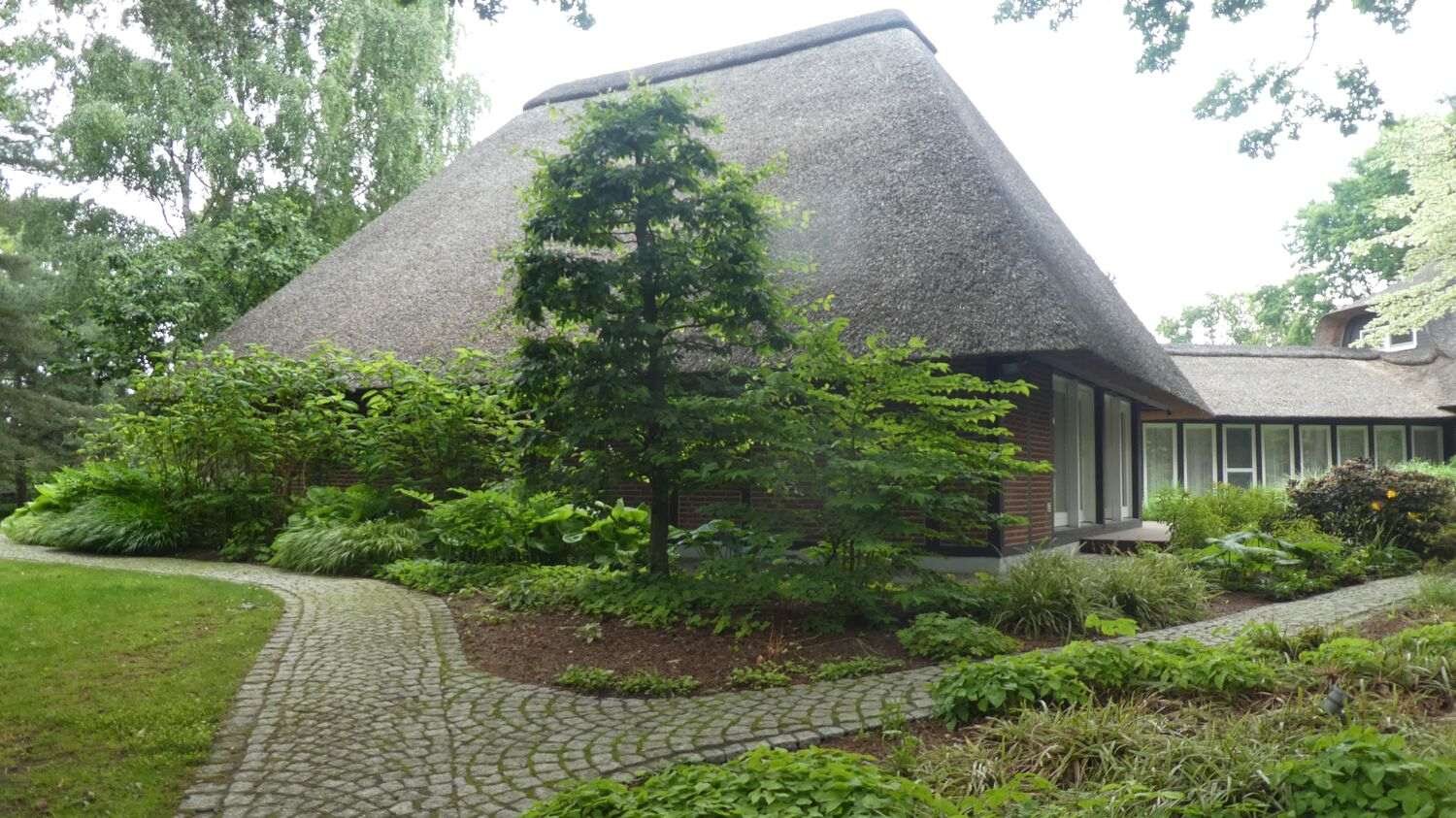 Villa mit Reetdach hinter Kiefern und gepflastertem Weg