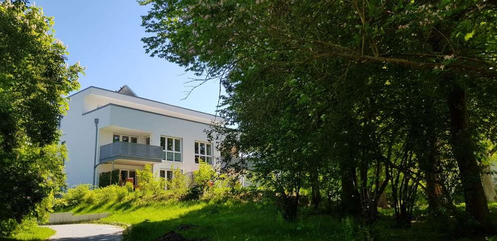 Haus am Salzteich hinter altem Baumbestand im Sommer