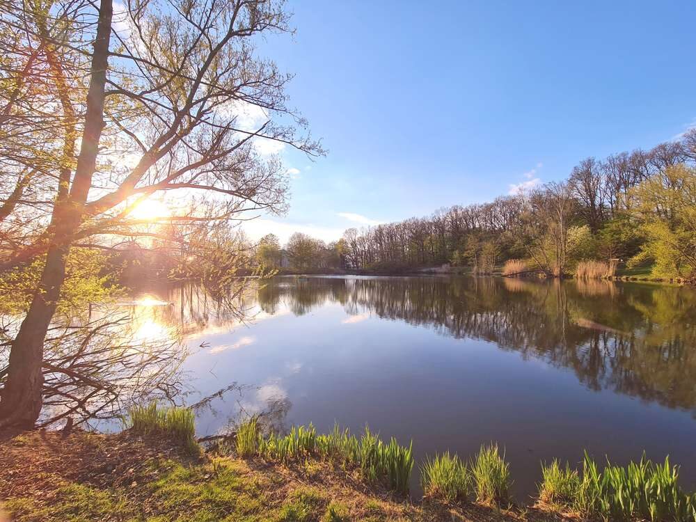 Der Salzteich in Wolfsburg