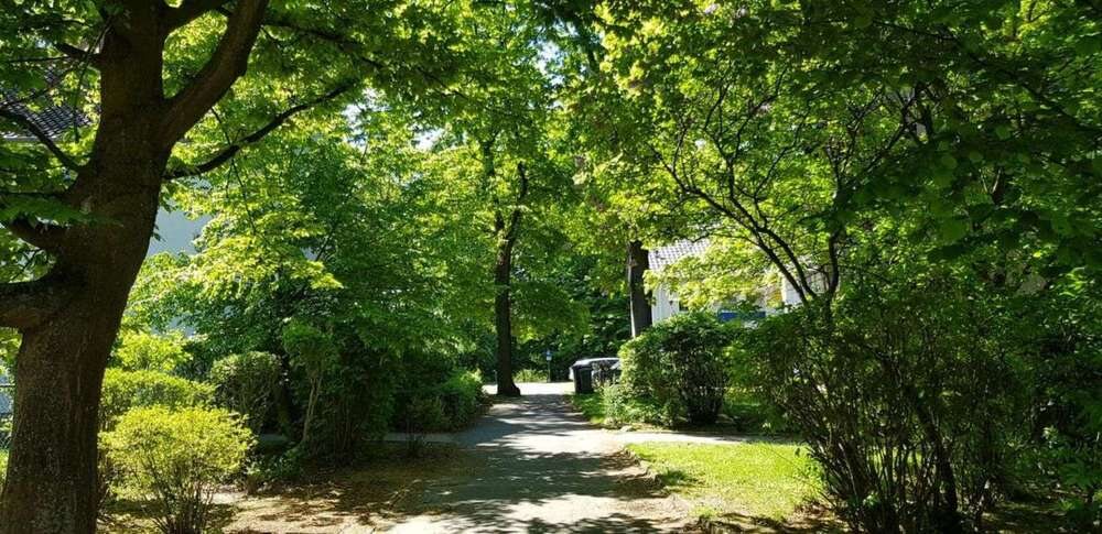 Begrünter Fußweg zwischen den Häusern