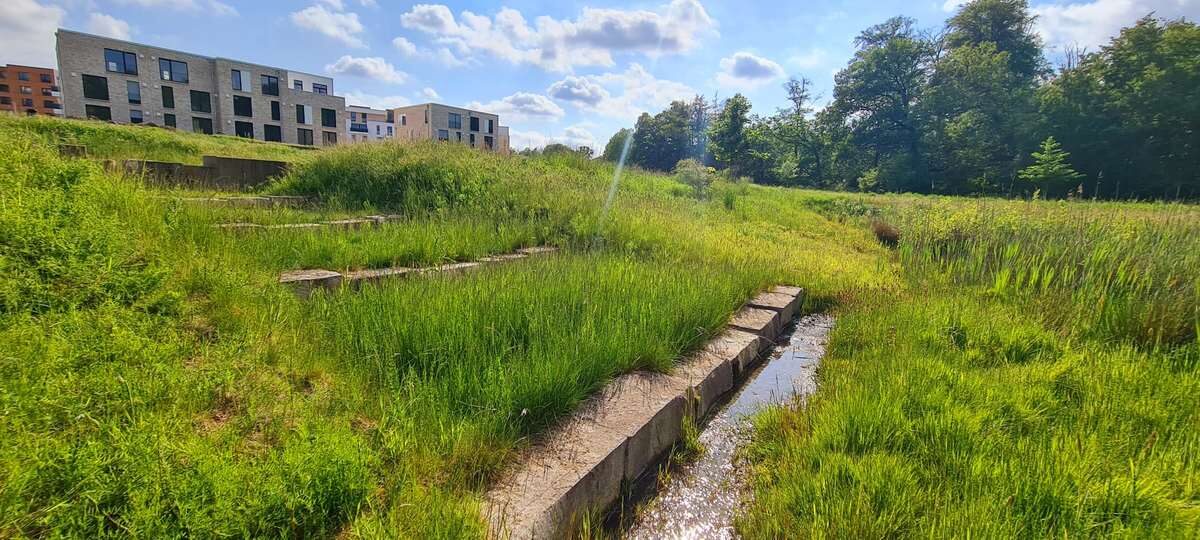 Wasserlauf im Naturpark unterhalb der Häuserzeile